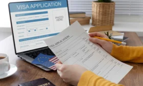 Visa application process, requirements and guidelines